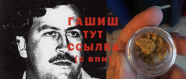 индика Бородино