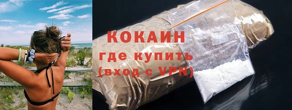 прущие грибы Бронницы