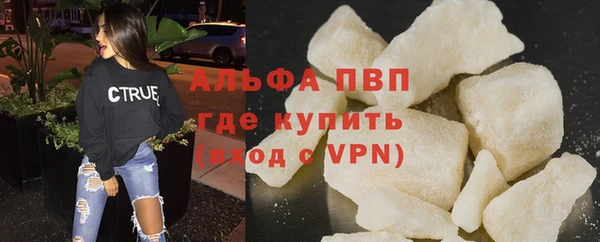 индика Бородино