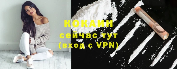 индика Бородино