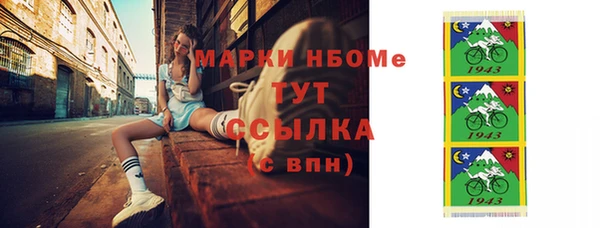 индика Бородино