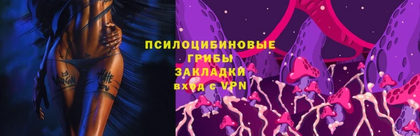 индика Бородино