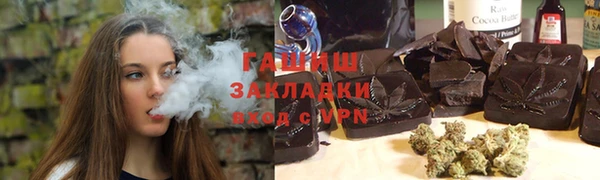 индика Бородино