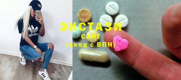 индика Бородино