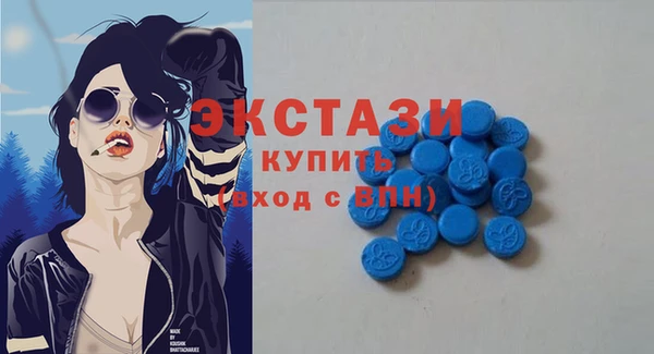 индика Бородино