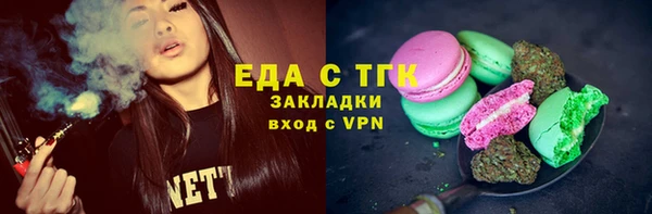 индика Бородино