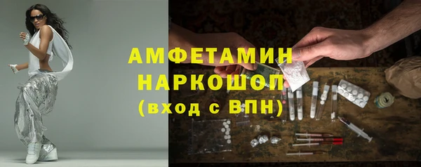 прущие грибы Бронницы