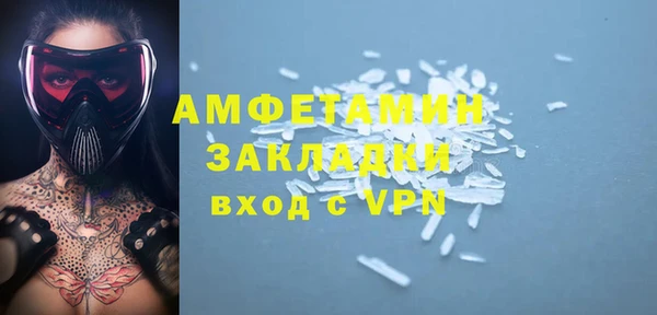 прущие грибы Бронницы