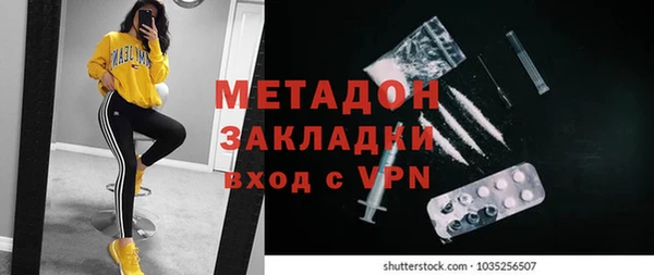 прущие грибы Бронницы