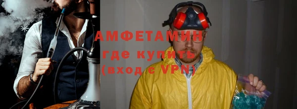 индика Бородино