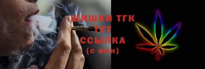 дмт Богородицк