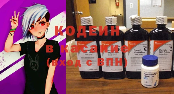 индика Бородино