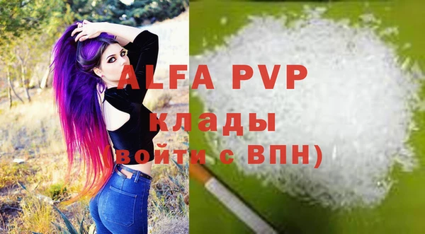 прущие грибы Бронницы