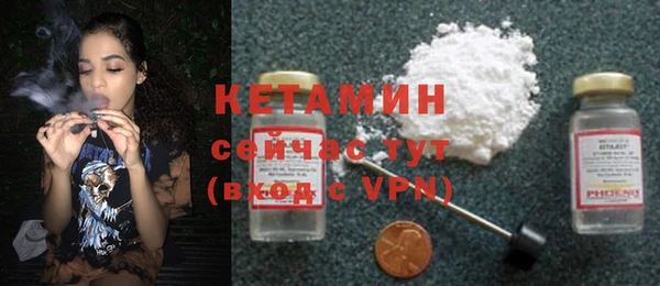 прущие грибы Бронницы