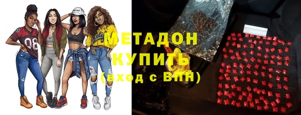прущие грибы Бронницы