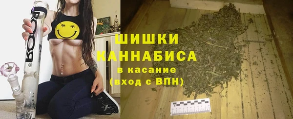 индика Бородино