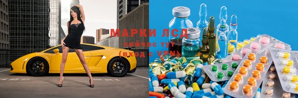 индика Бородино